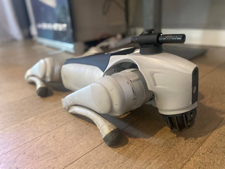 DRONE CANE